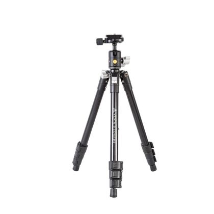 Vanguard Vesta FB 204AB