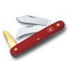 Victorinox nož za brstenje in obrezovanje