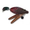 RYPO Dog Training Pheasant