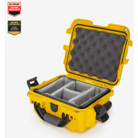Nanuk 905 Case