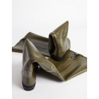 Aigle Truite