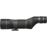 Leupold SX-4 Pro Guide HD 15-45x65 Straight Gen2