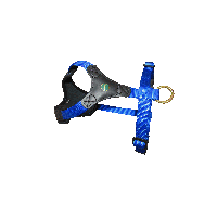 Niggeloh Dog Harness Follow Start
