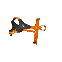 Niggeloh Dog Harness Follow Start
