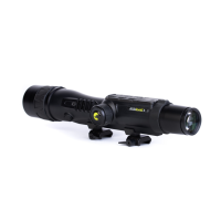 Nitehog Boomslang