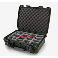 Nanuk 925 Case
