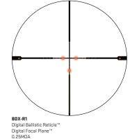 BDX-R1