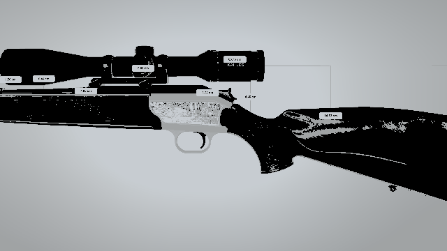 Vortex on Blaser R93
