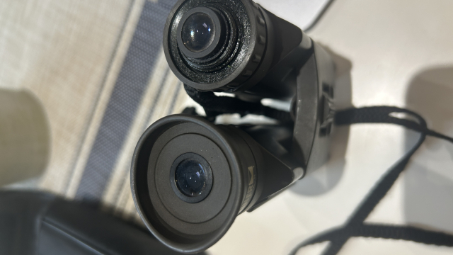 Steiner Eyecup for Wildlife 8x24 and 10.5x28